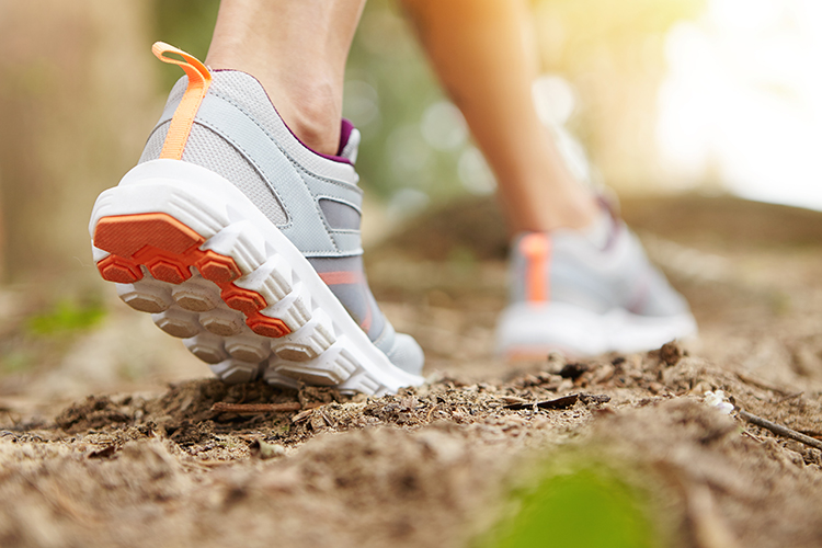 The Power of Movement: Small Steps for a Healthier Life